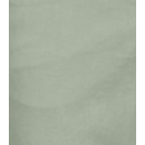 CREAM LOTTE TWILL PANT - COCO FIT SAGE